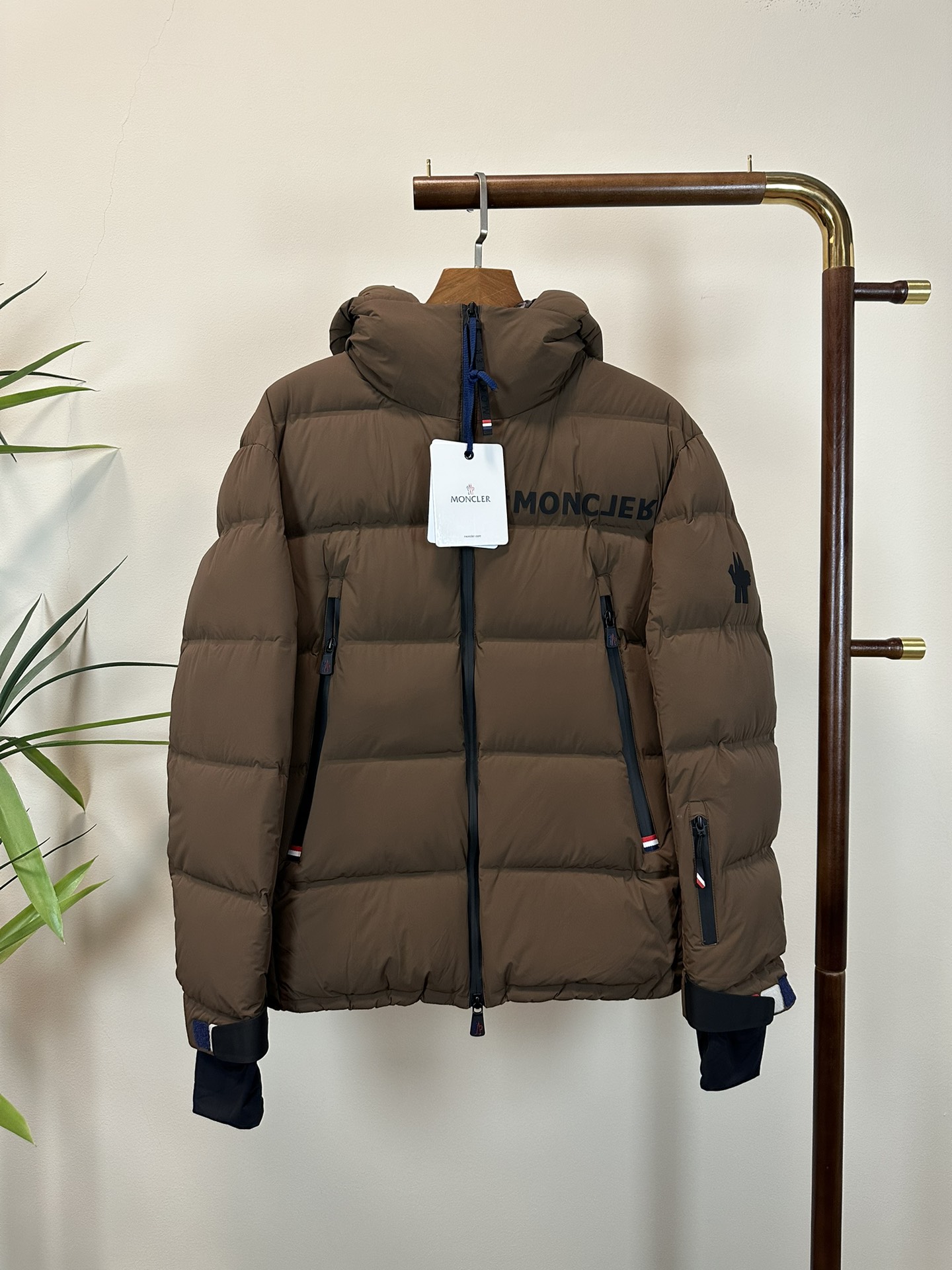 Moncler Down Jackets